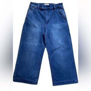 Evidnt Los Angeles Anthropologie Malibu Cropped Wide Leg Jeans